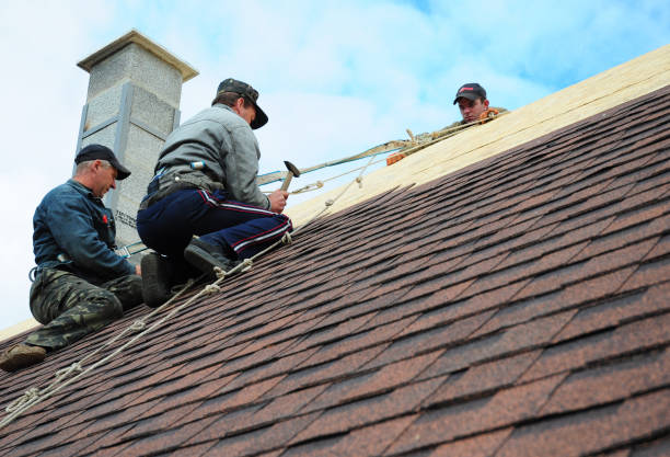 Best Roof Repair Services  in Three Lakes, WA